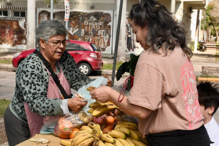 Este martes habrá venta de bolsones saludables en diversos puntos de la ciudad