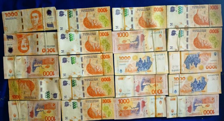 Menores de 13 y 14 años forzaron una puerta y robaron dos millones de pesos a un vecino