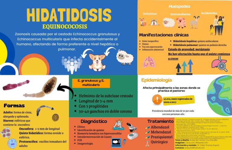 ALERTA ENFERMEDADES DESATENDIDAS: Leishmaniasis e Hidatidosis dos zoonosis en avance permanente (Por Dr. Carlos Blas Hoyos)