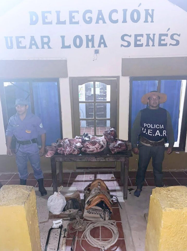 Detuvieron a un abigeo y secuestraron carne vacuna