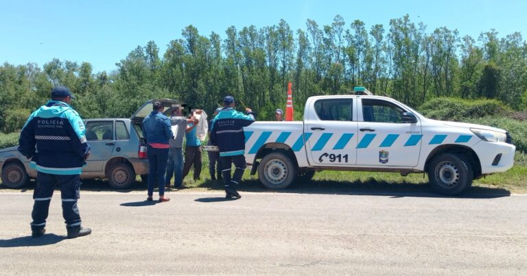 Cazaron un yacaré de una especie protegida por la Ley Nacional de Fauna