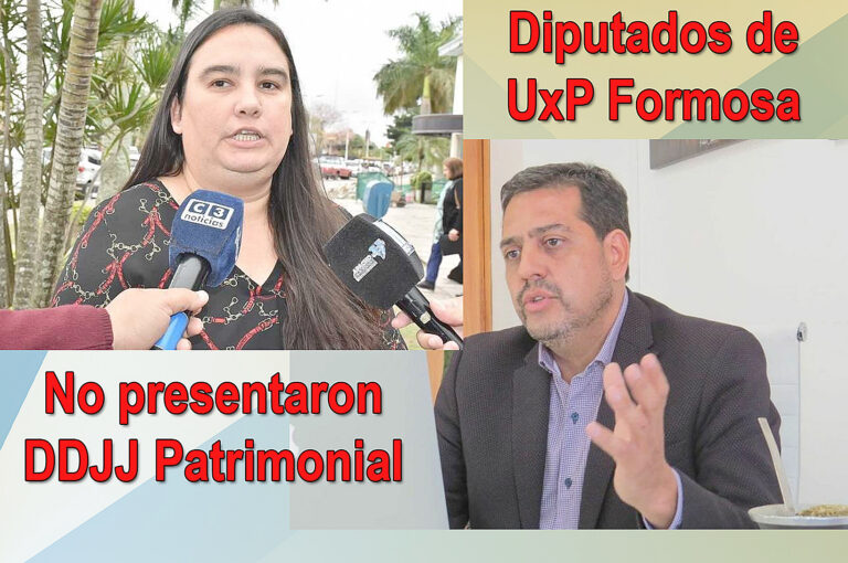 Fernández Patri y Parola no presentaron sus declaraciones juradas patrimoniales