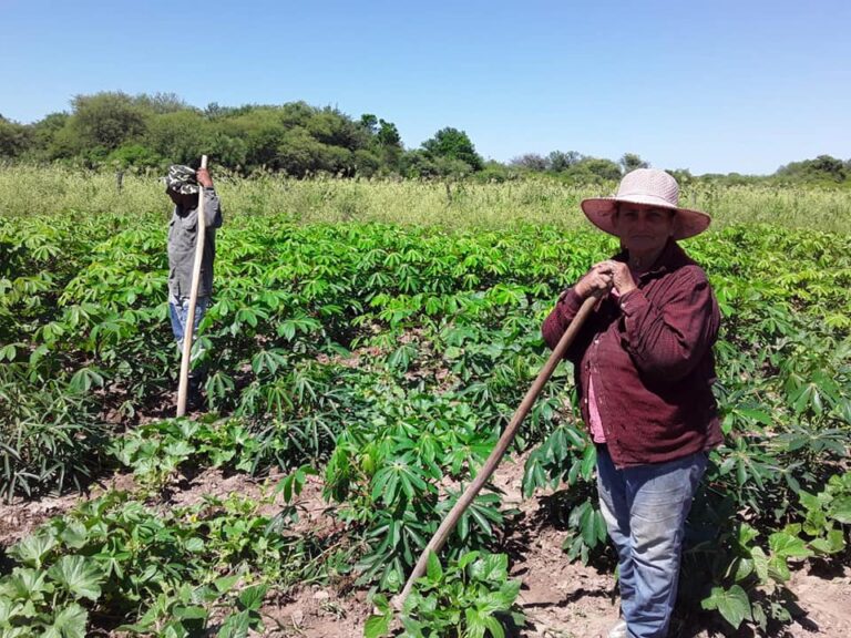 Insfrán: Las mujeres rurales son pilares fundamentales del desarrollo de Formosa