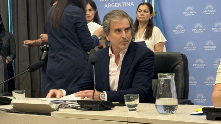 Con Emergencia en Pediatría y Discapacidad sin aplicar, Bertie Benegas Lynch pidió terminar con los «delirios»