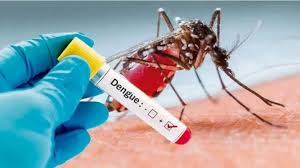 Indicaron que con tendencia en baja, cerraron los casos de dengue en esta semana