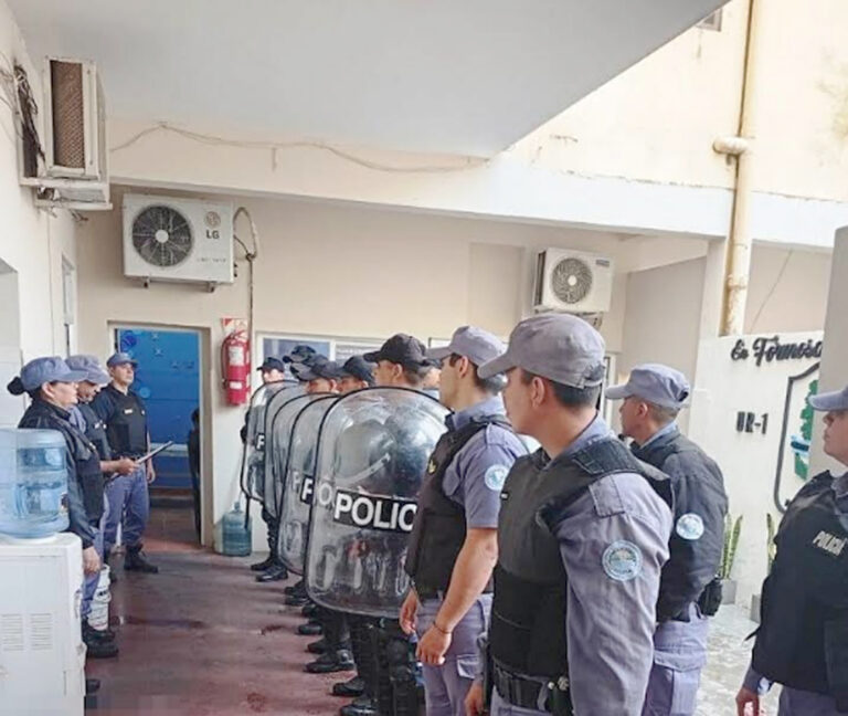 Buscaban un arma de fuego y hallaron un lugar acondicionado para el cultivo de drogas