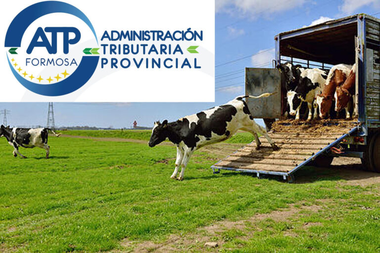 Victoria Judicial de Agropedascoll SA: Corte Suprema Frena Anticipo de Ingresos Brutos en Formosa y Reaviva Debate sobre Aduanas Internas