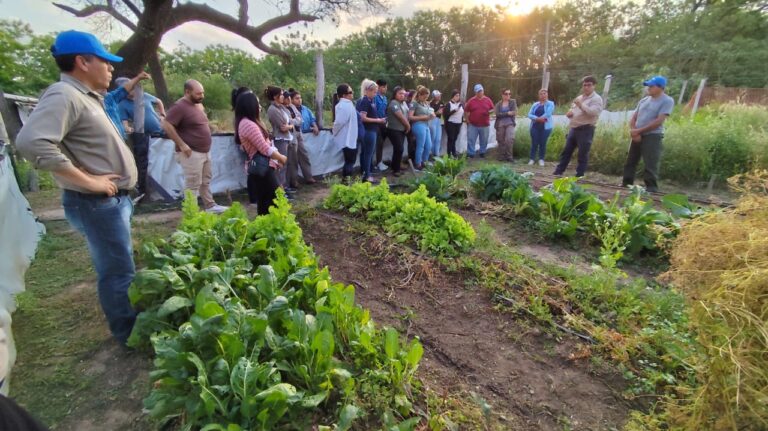 Se realizó una jornada de capacitación en horticultura en la localidad de Las Lomitas