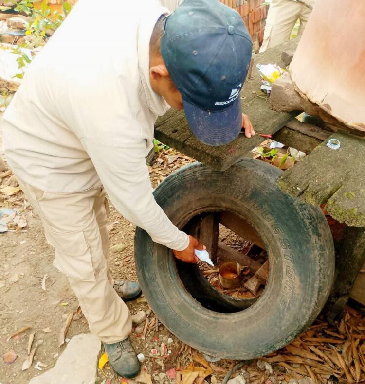 Refuerzan el llamado a mantener los cuidados para prevenir el dengue