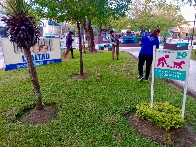 La comuna accionó en un vasto sector de la ciudad con el mantenimiento de espacios públicos