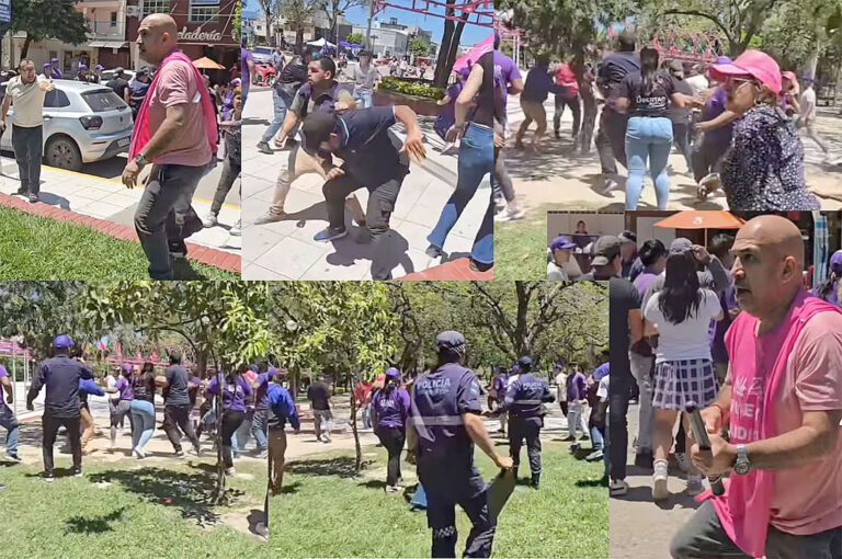 Violencia política en Formosa: graves  incidentes en la Plaza San Martín