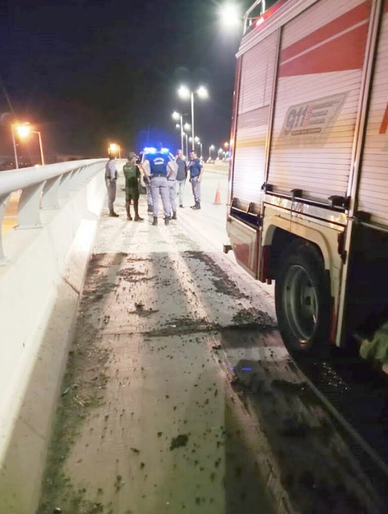 La Policía evitó que un joven se arrojara del puente elevado