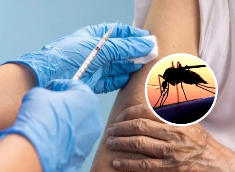 Campaña de Vacunación contra el Dengue en Formosa: Localidades Incluidas