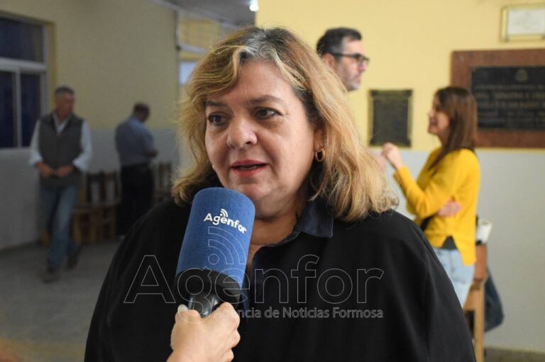 Elecciones: Los legisladores nacionales son los que llevan la voz del interior al Congreso