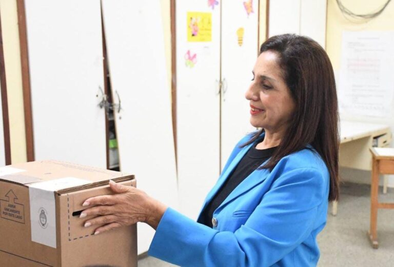 Voy a defender los intereses de Formosa como provincia