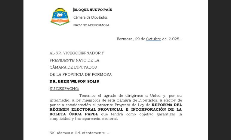 Proponen derogar la Ley de Lemas y establecer la Boleta Única Papel (BUP)
