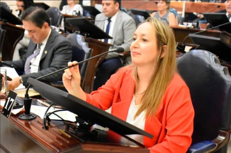 Transparencia: Proponen Boleta Única Papel para Formosa