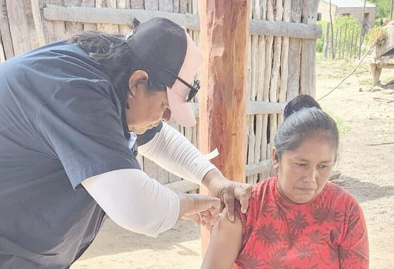 Vacunación contra el dengue en Fortín Lugones y la colonia originaria Chico Daguaan