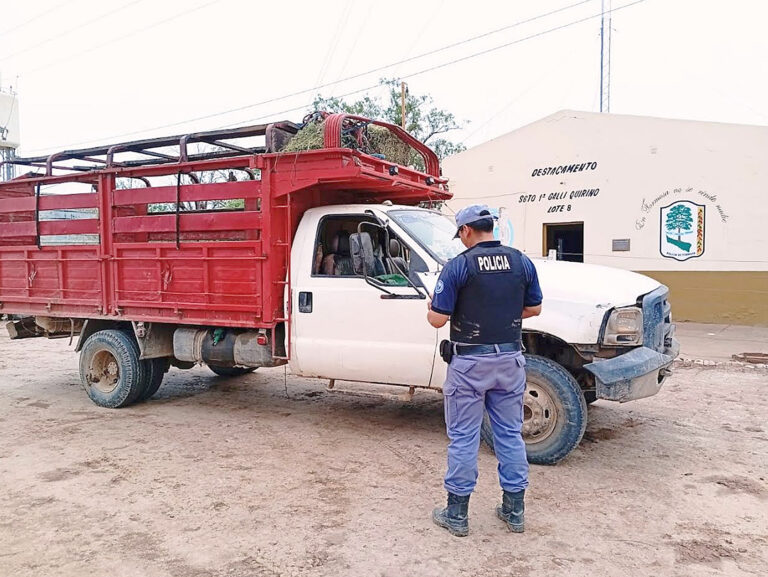Detuvieron a tres sujetos y secuestraron 12 asnos