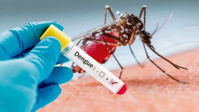 Desarrollo Humano instó a sostener el control del mosquito ante un escenario epidemiológico estable