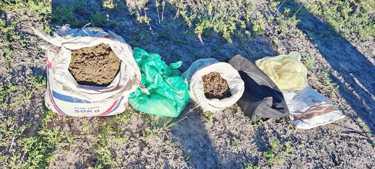 Detuvieron a un hombre y secuestraron marihuana