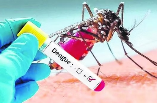 Dengue: un solo caso confirmado esta semana y refuerzan las medidas de prevención