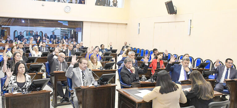 Diputados tratará Presupuesto y la prórroga de Emergencia Económica