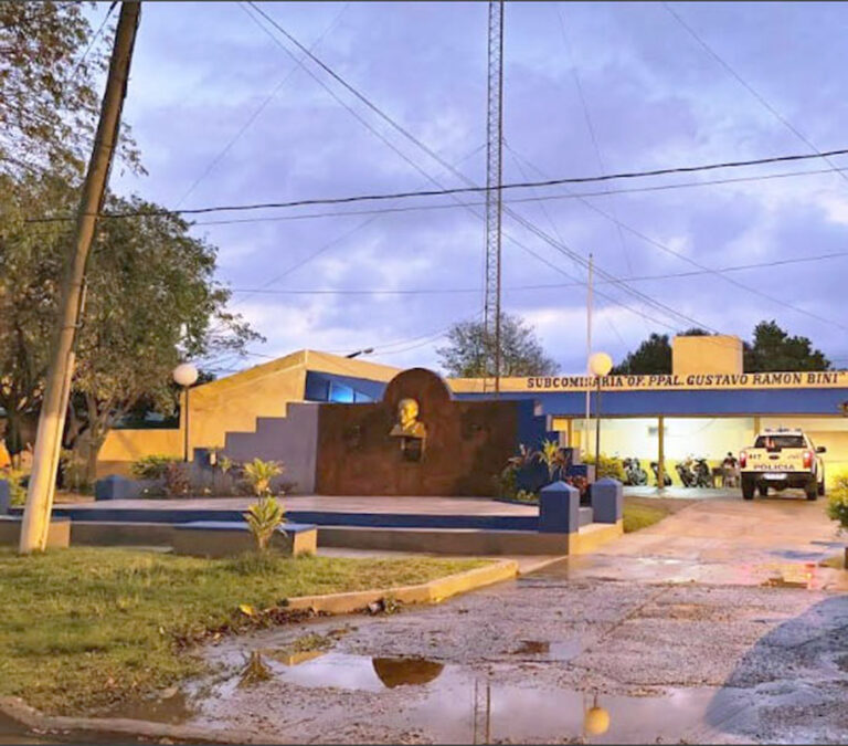 Detuvieron a un sujeto por matar a un gato