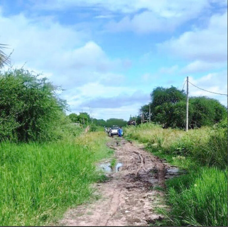 Un hombre falleció al recibir una descarga eléctrica