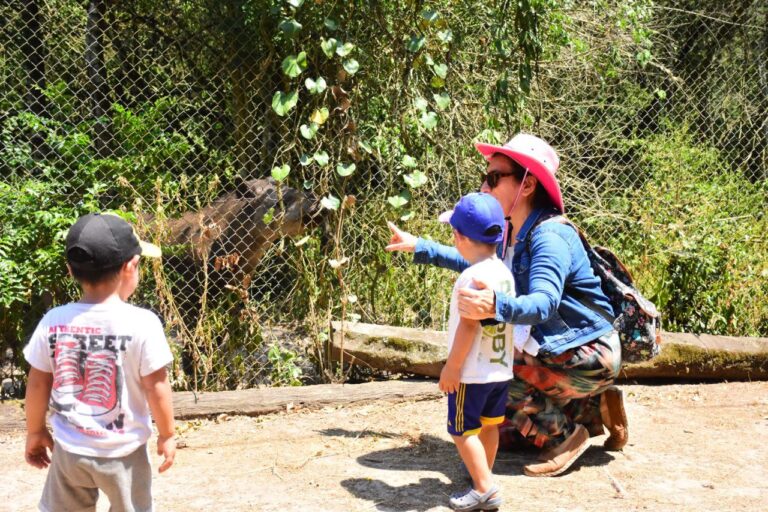 Por tareas de mantenimiento, Guaycolec cierra este fin de semana
