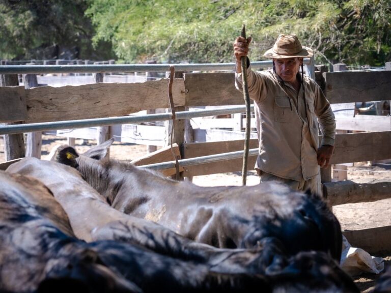 Desde el Ministerio de la Producción y Ambiente se apunta a reforzar el acompañamiento a los pequeños productores