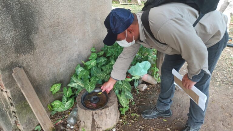 En el comienzo del año, los casos de dengue se presentaron sin modificaciones respecto a la última semana del 2025