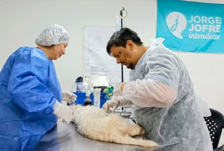 Zoonosis informó días y horarios de atención durante la temporada de verano