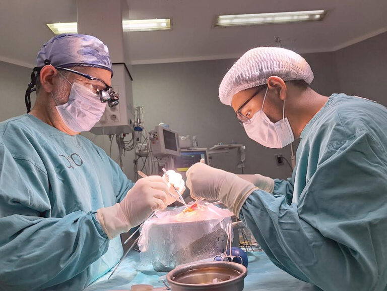El Alta Complejidad celebró el primer trasplante hepático de 2026