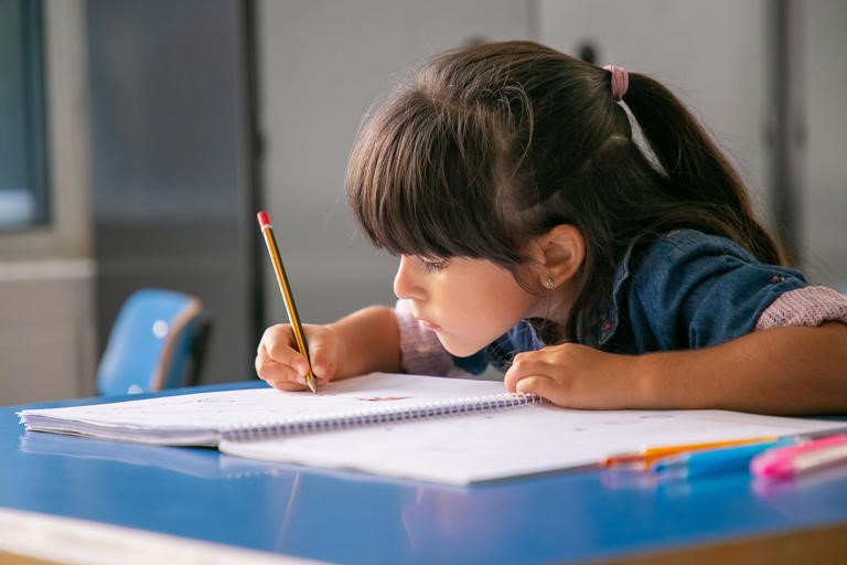 Ciclo lectivo 2026: cuándo empiezan las clases, provincia por provincia