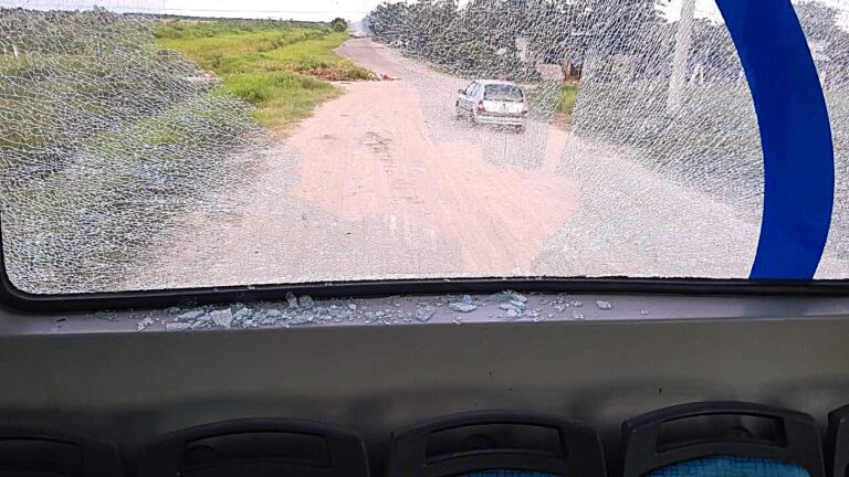 Vandalismo en colectivos y los loteos: Una radiografía profunda de la realidad urbana en Formosa