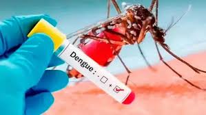 Dengue: con una leve variación semanal,confirman seis casos