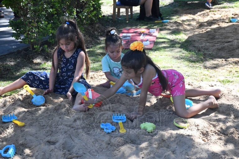El IAS comenzó una nueva temporada de Verano Accesible