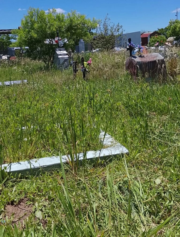 Cementerio de Palo Santo: quejas por el estado de abandono y desinterés municipal
