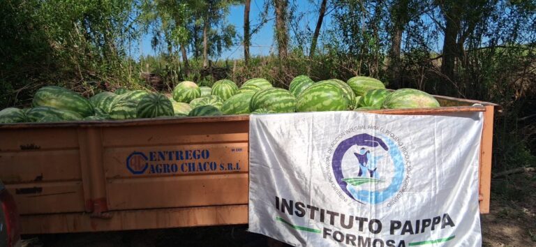 ParaNacifelGobierno Provincial yla Municipalidad de Ingeniero Juárezles aseguraron unaexitosacosecha2025a losproductorespaipperos de la Costa del Bermejo