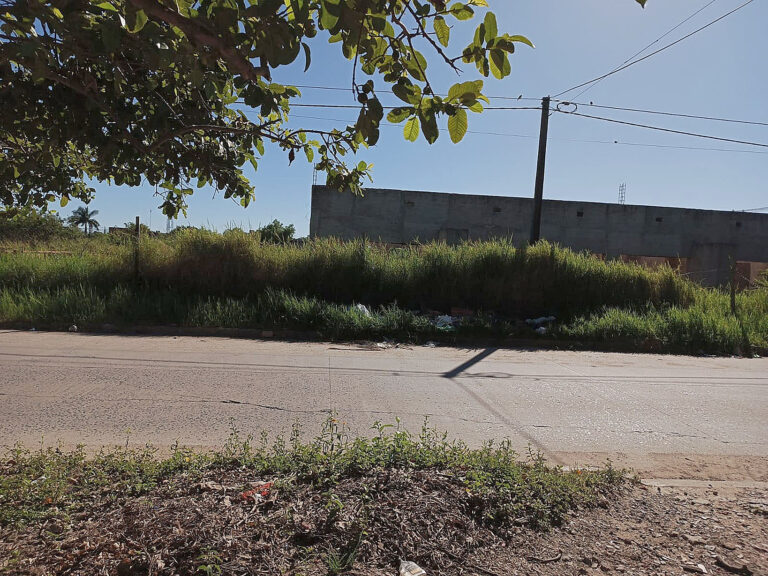 Barrio San Pedro: una obra abandonada se convirtió en un foco de infección e inseguridad