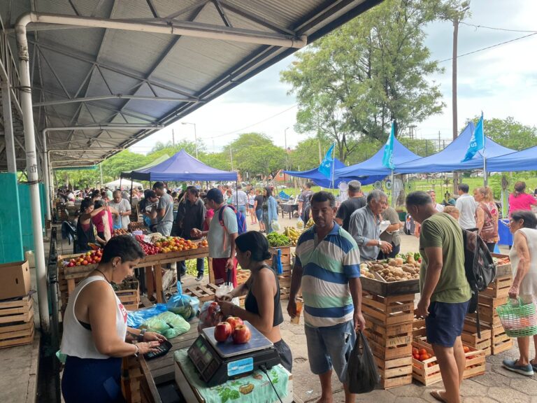 Formosa: Estabilidad de precios en Frutas y Verduras durante el primer mes del 2026