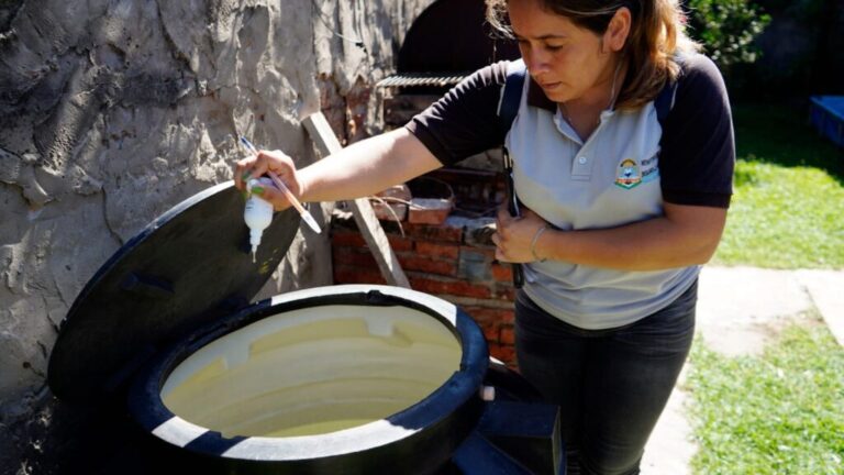 Disminuyen levemente los casos de dengue en Formosa en la última semana
