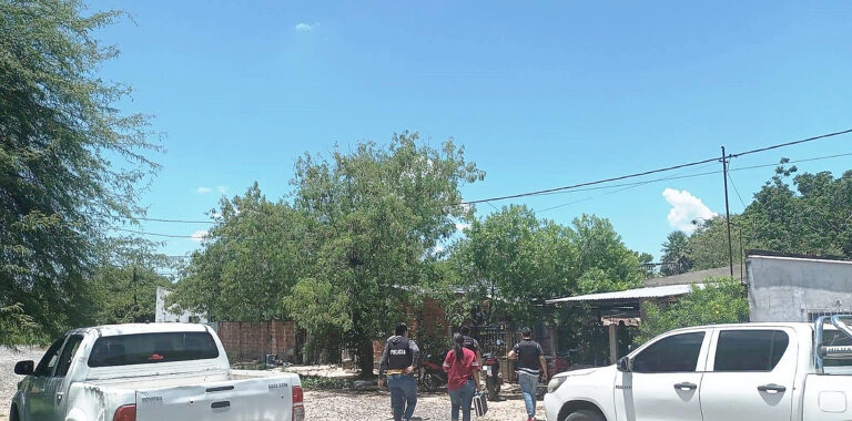 La Policía detuvo a una mujer y desarticuló un punto de cultivo de marihuana
