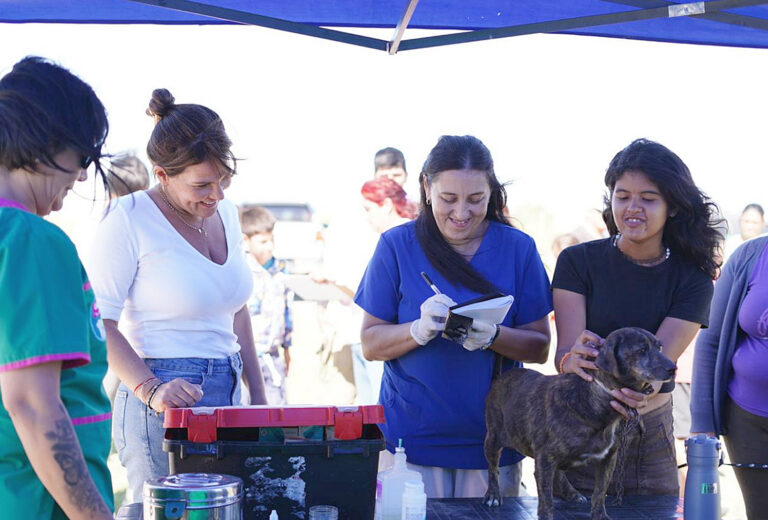Zoonosis: el Castramóvil Municipal vuelve este jueves al barrio 28 de junio