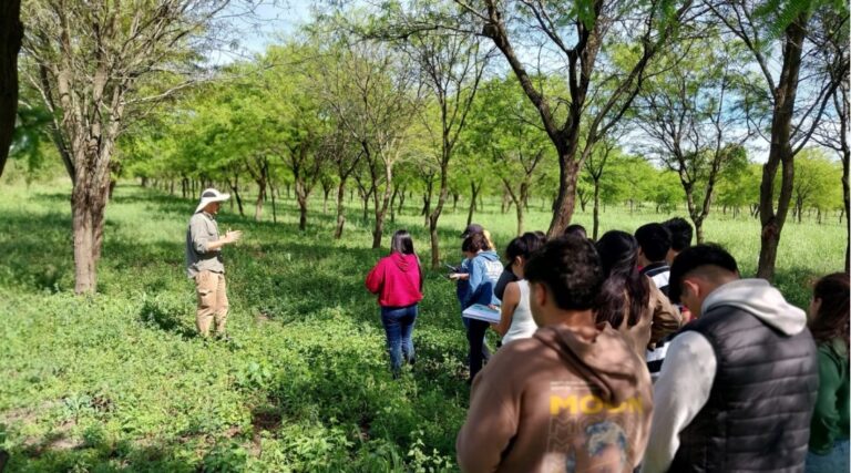 Ensayo de algarrobos nativos en Laguna Naineck