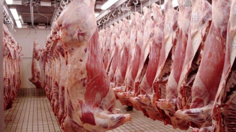 El Gobierno nacional moderniza la faena y simplifica reglas para impulsar la producción cárnica