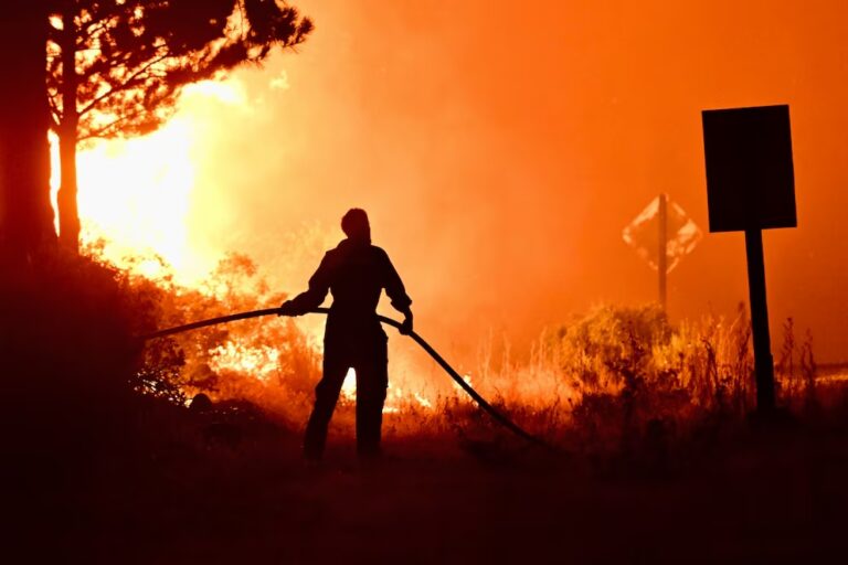 Incendios en la Patagonia: Este desastre ambiental y social es producto de la indiferencia del Gobierno nacional