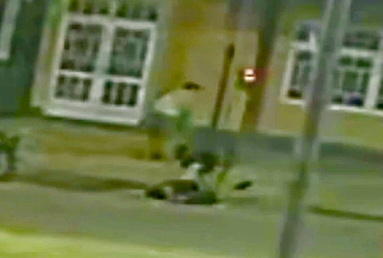 Trágico: Falleció Cristian Robles tras agonizar dos días por una brutal agresión