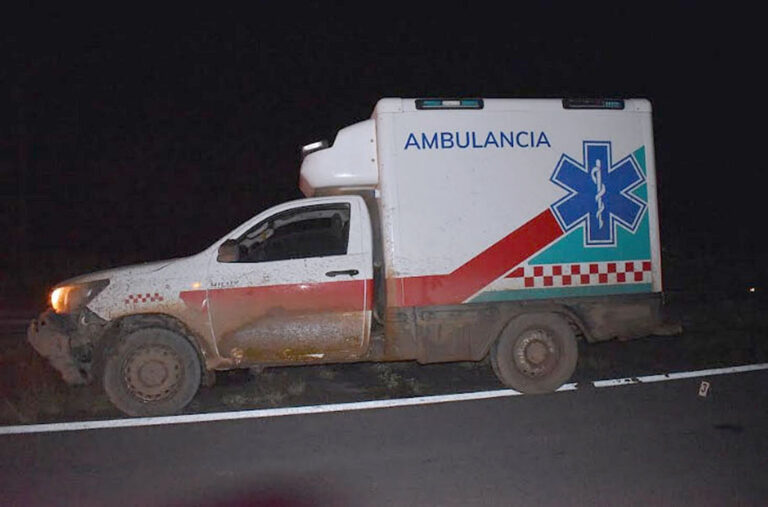 Una ambulancia chocó tres animales vacunos en la Ruta Nacional 81